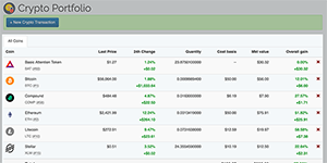 Crypto Portfolio - investment list