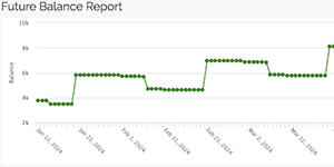 Estimate Future Balances - balance report