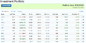 Investment Portfolio - investment list